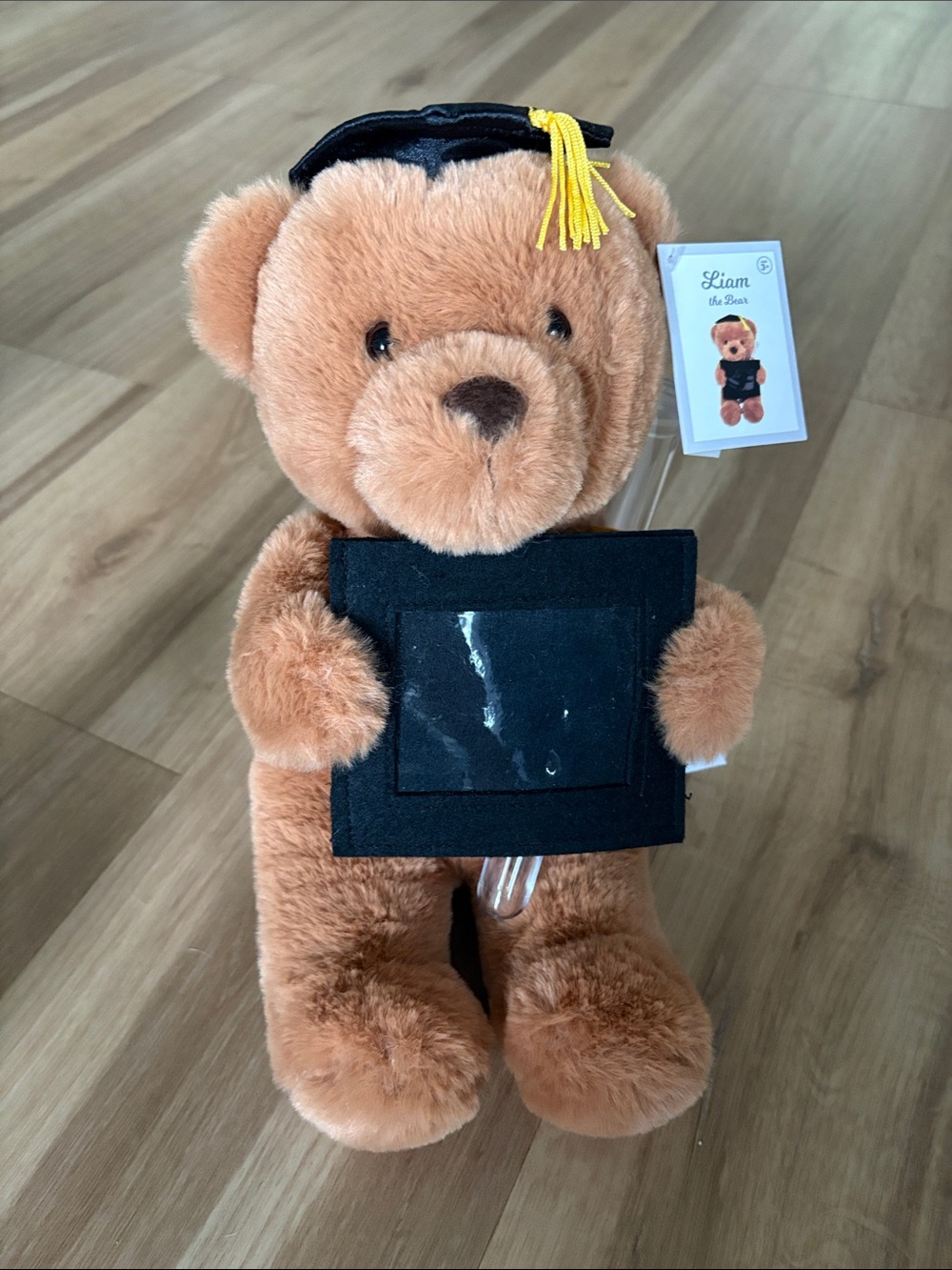 Graduation Teddy Bear Plush in Brown with Black Cap